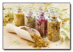 Healing medicinal herbs in jars